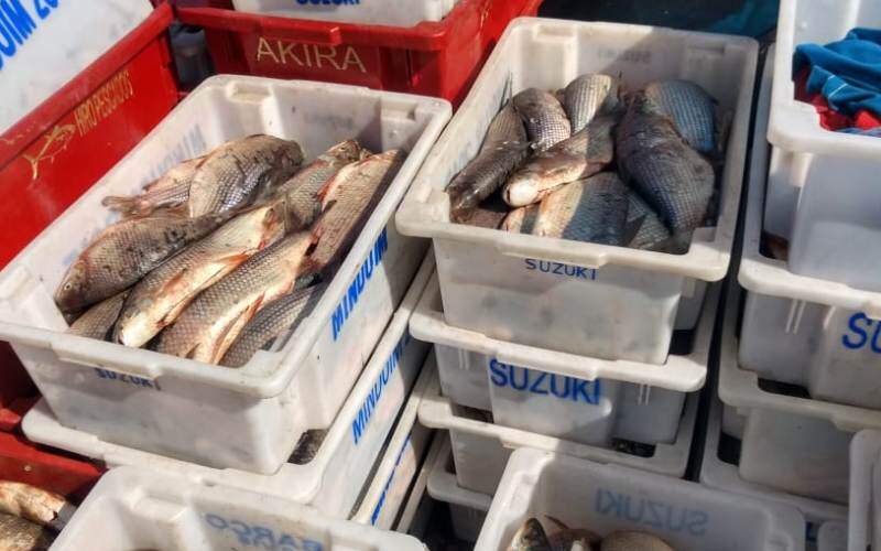 Pescadores são multados em mais de R 178 mil pela Polícia Ambiental