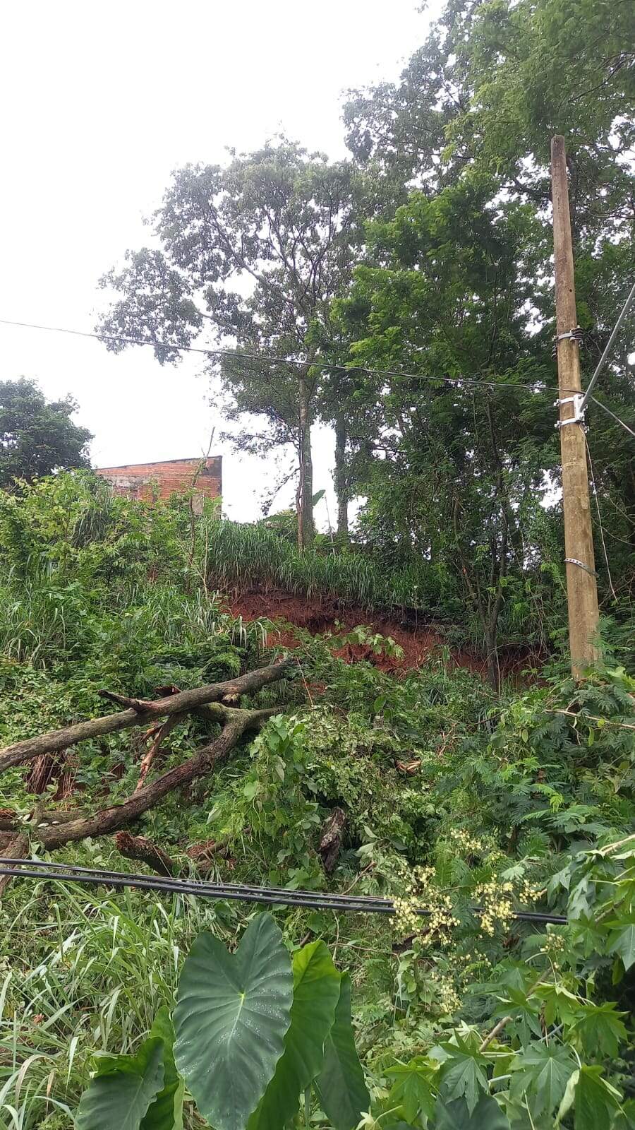 Barranco Desliza E Moradora No Brasil Ndia Tem Medo De Desabamento