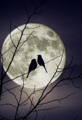 <b>DIA DOS NAMORADOS</B> - O c&eacute;u francano fica ainda mais bonito, escurece mais cedo, no azul-marinho do firmamento as estrelas parecem brilhar muito mais. Fico rom&acirc;ntica e me ponho a pensar no amor.