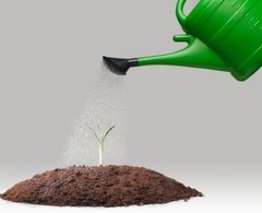 Em seu projeto, Deus prop&otilde;e que sejamos como a semente de mostarda, que se torna *a maior das plantas da horta*.