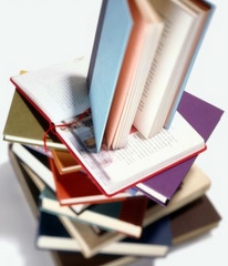 <B>ALFABETO</B> - Num dado momento, concluo infantilmente: todos esses livros esparramados no ch&atilde;o, embora escritos em l&iacute;nguas diferentes, independente da quantidade de p&aacute;ginas e da sofistica&ccedil;&atilde;o de linguagem 