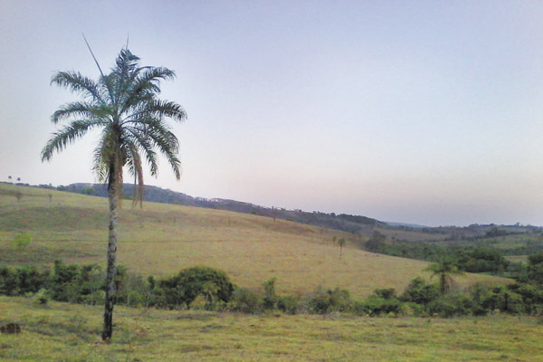 Fim de tarde na região de Franca. 
