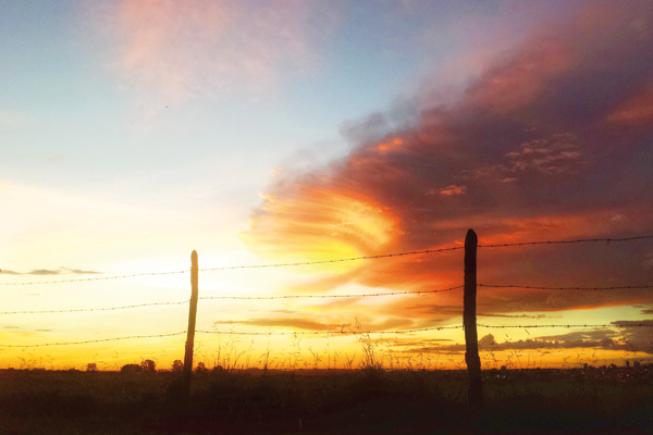 Belíssimo pôr do sol nos arredores de Franca. 