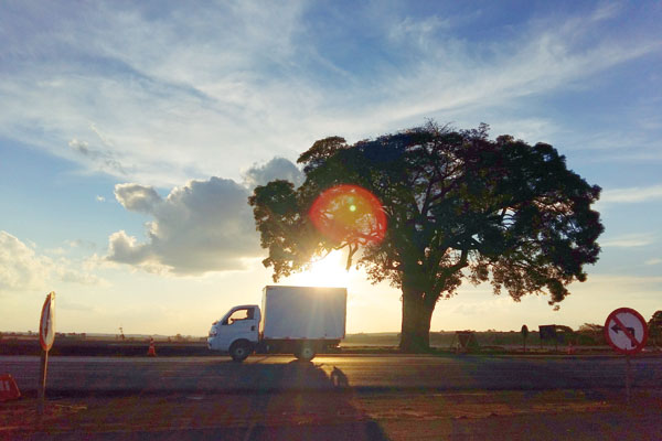 Os últimos raios de sol antes da noite chegar