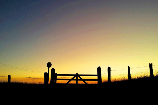 Entardecer no campo.