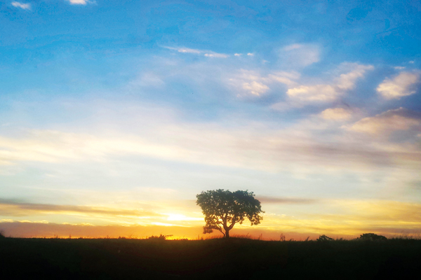 Um céu todo colorido para se despedir do dia. 