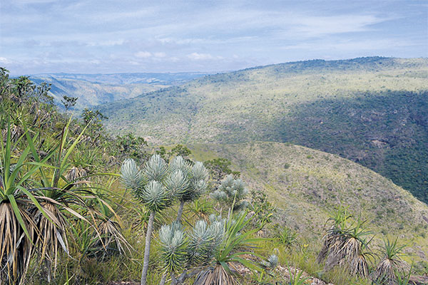 Passeio pela Serra da Canastra, em Minas Gerais.