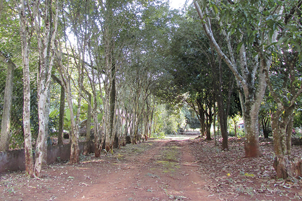 A estrada sempre leva a algum lugar, não importa quanto tempo demora.