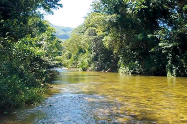 O rio segue seu caminho rumo ao desconhecido. 