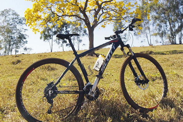 Em momento de descanso da pedalada, Francisco fotografou o ipê.