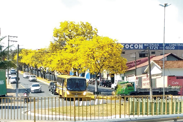 Para celebrar a chegada da primavera com muitas flores.