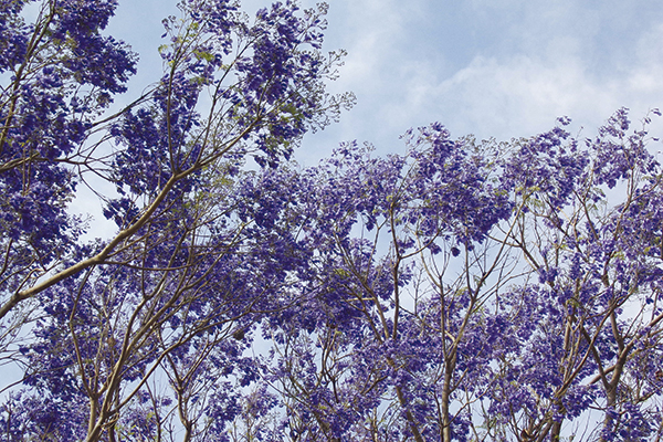 Sinais de que a primavera realmente chegou.