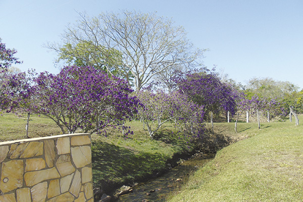 A água, mesmo que pouca, dão frescor à paisagem