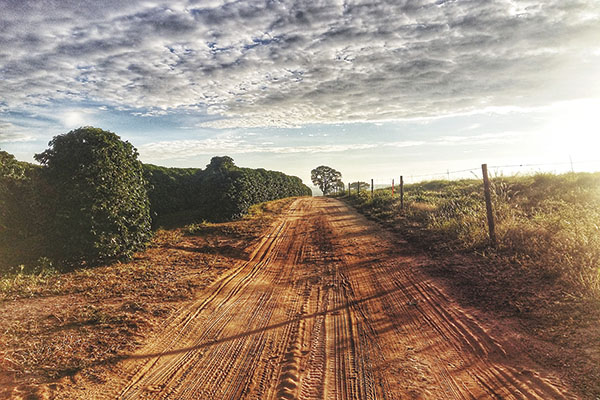 Aproveite o fim de semana para pegar a estrada.