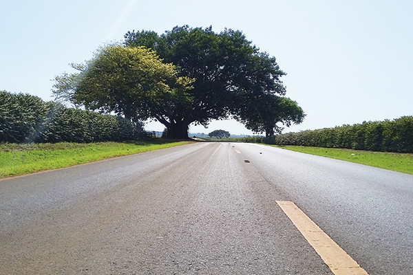 Dia de pegar a estrada...seja qual for seu destino