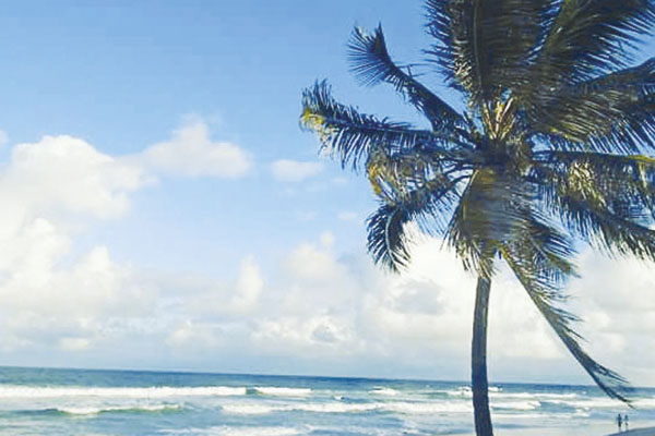 Que tal aproveitar o feriado e viajar para a praia