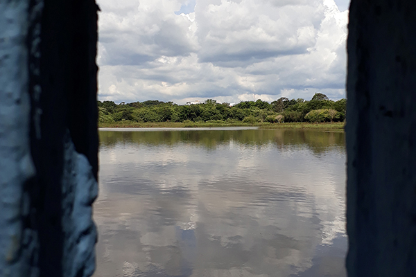 A natureza engrandece do outro lado da janela