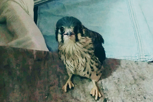 Toda curiosa, ela observa a 'fotógrafa'... 