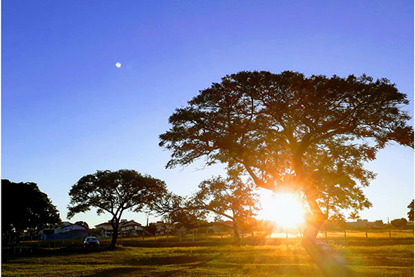Entardecer dia desses... 