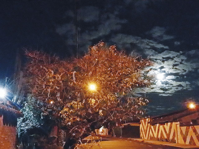 E a lua pinta o céu...