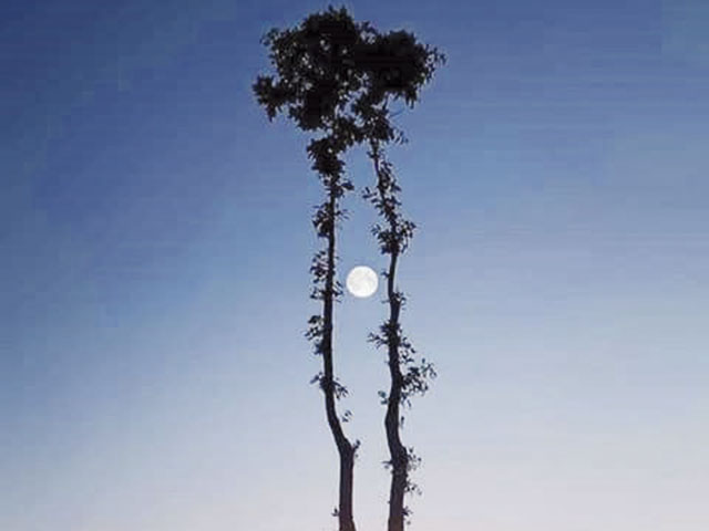 O sol se despede no mesmo momento que a lua chega.