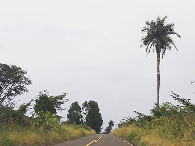 Aproveite o feriado para pegar a estrada...