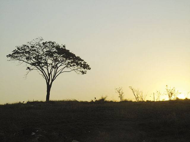 E o sol se despede de mais um dia...