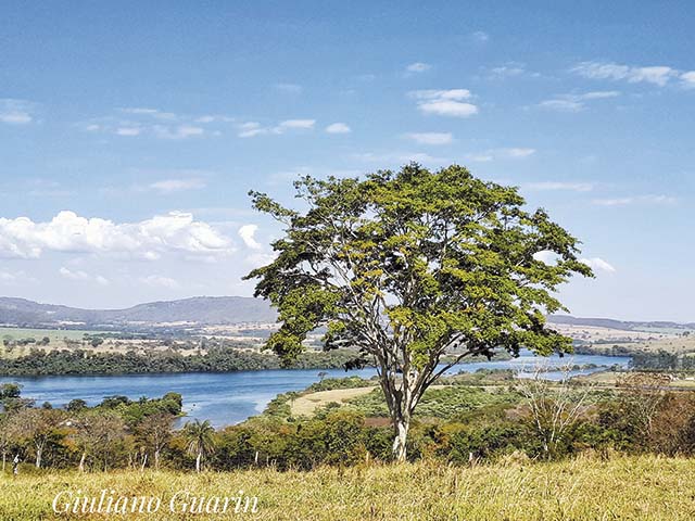 A natureza e seus deslumbres...