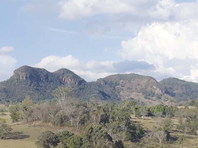 Natureza pura...