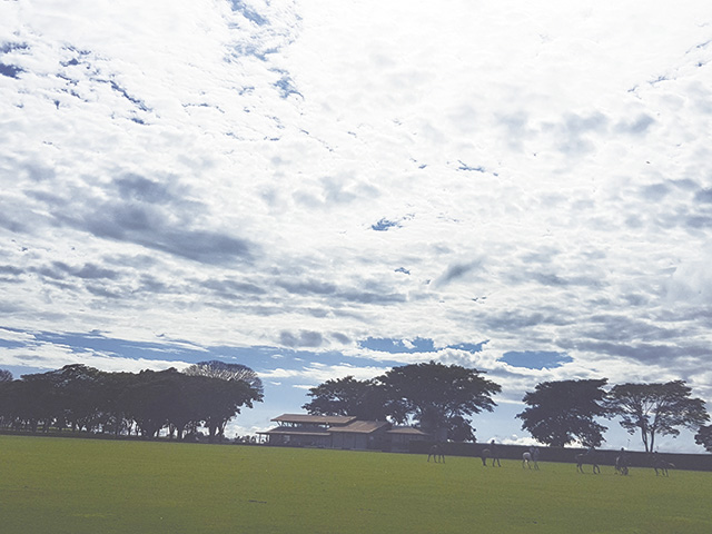 As nuvens 'lotam' no céu no fim de tarde...