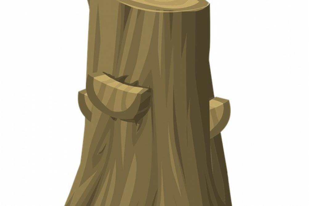 Toco de árvore