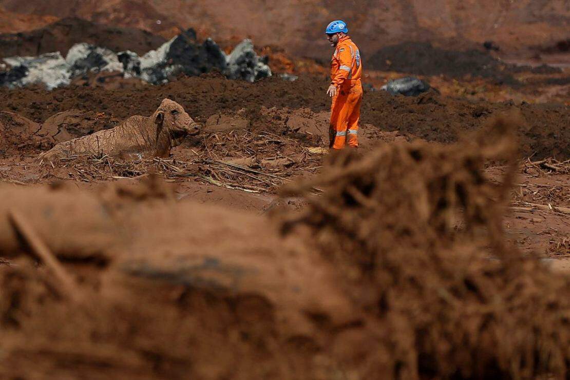 Bombeiros já localizaram sete corpos na barragem em Brumadinho - Portal  Agita