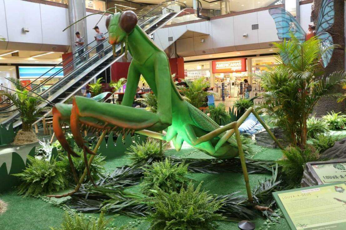 Réplicas gigantes de insetos podem ser vistas em shopping em São José