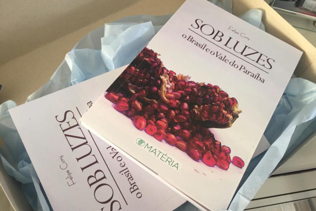 Livro lançado por Felipe Cury