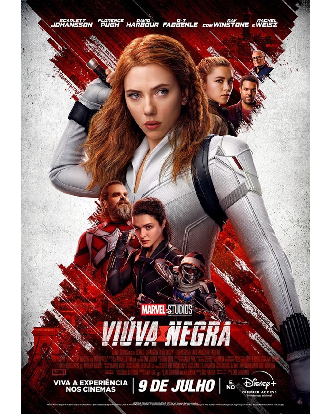 Pôster do filme Viúva Negra