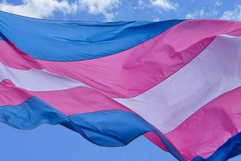 Janeiro lilás é o Mês da Visibilidade Trans