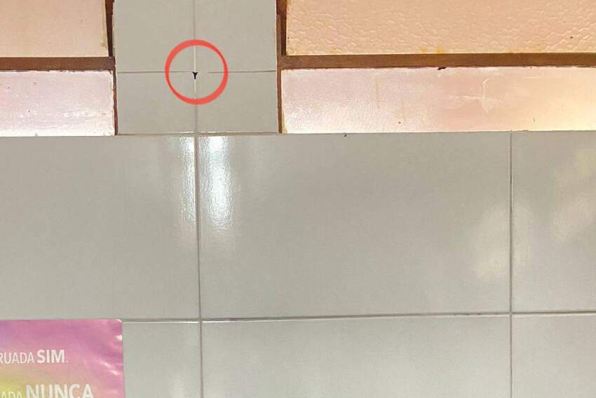 O mesmo tipo de câmera foi localizado pela namorada do estudante no banheiro feminino.