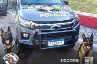 Polícia Civil em Caçapava