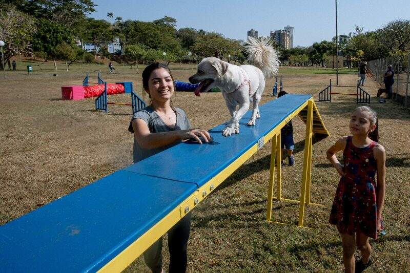 Portal Terra de Lucas : Cobasi inaugura Pet Parque na sua loja em Feira de  Santana neste sábado (22/07)