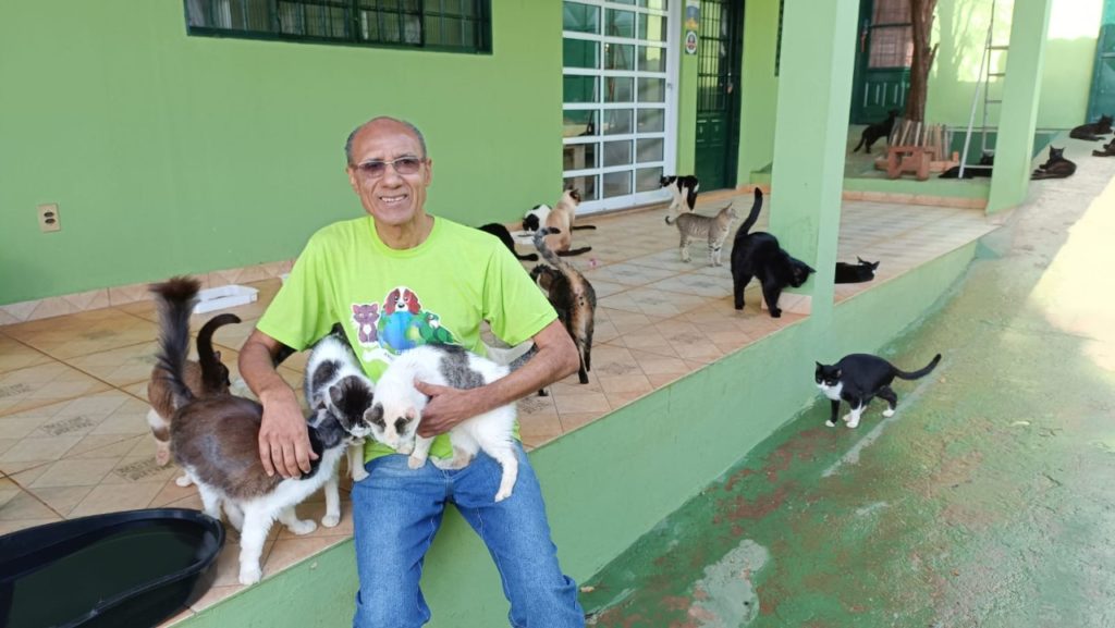 Em 12 anos, ONG Clube Amigo dos Animais atendeu cerca de 2 mil cães e gatos