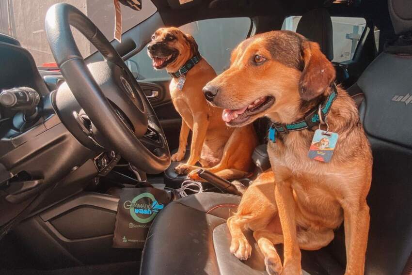 Matuê e MC Poze são os novos mascotes do posto do Jardim Campos Elíseos, em Campinas