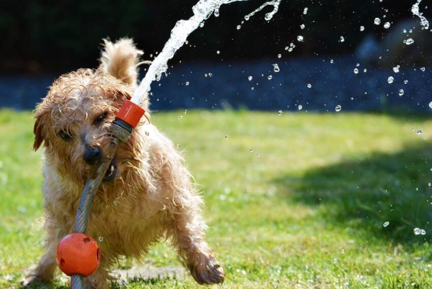 Brincar com água no quintal é ótima maneira de espantar o calor