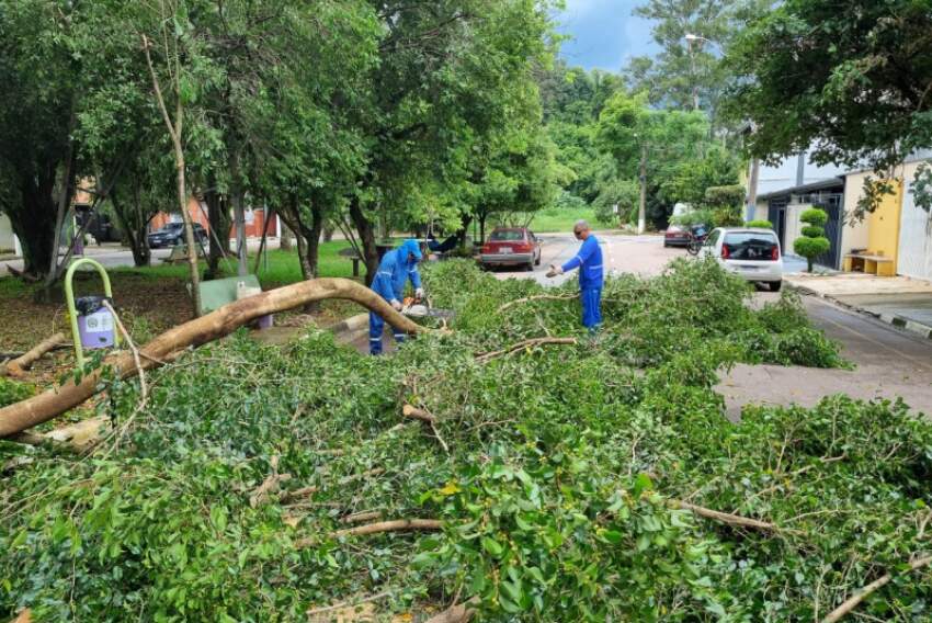 Prefeitura de Louveira faz as podas de árvores, retirada de galhos e limpeza de bueiros nos bairros