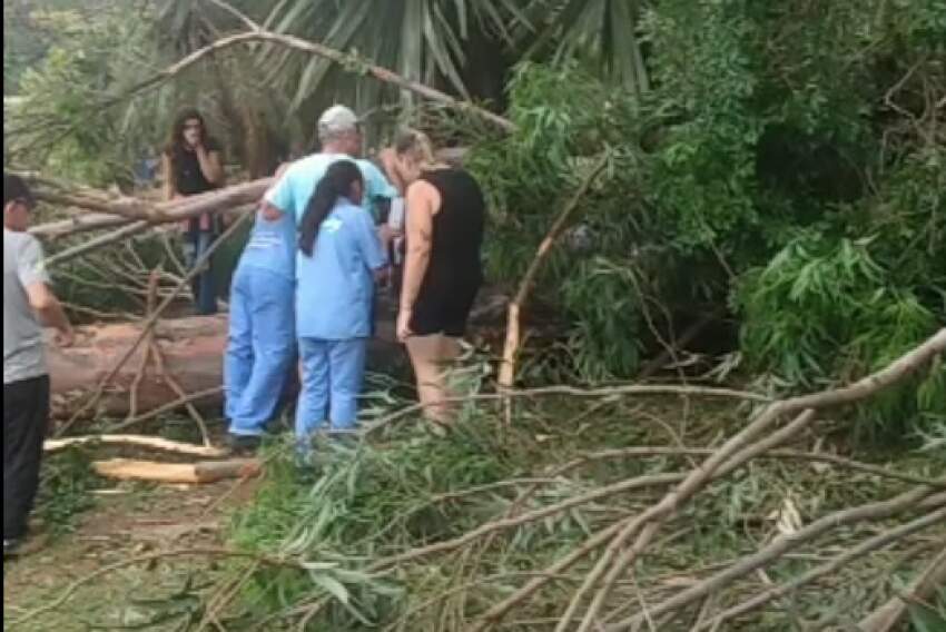 Criança morreu ao ser atingida por uma árvore na Lagoa do Taquaral