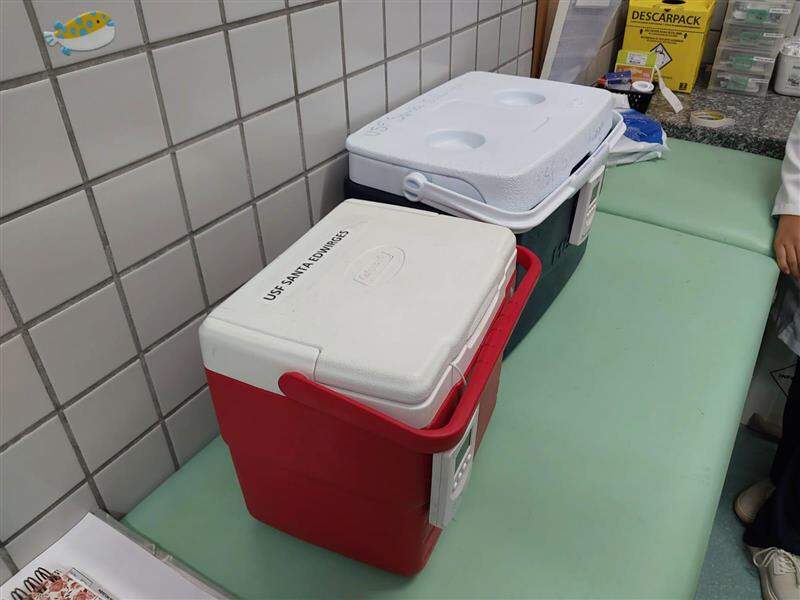 Caixas térmicas para armazenar vacinas na USF do Santa Edwirges (Crédito: TCE/Divulgação)
