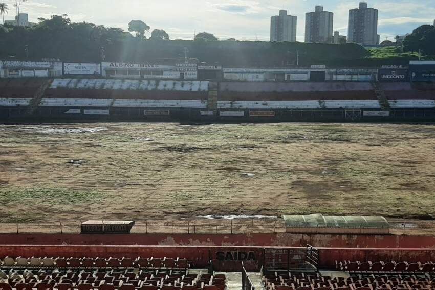O Palmeiras já se prepara para caso o gramado não fique pronto