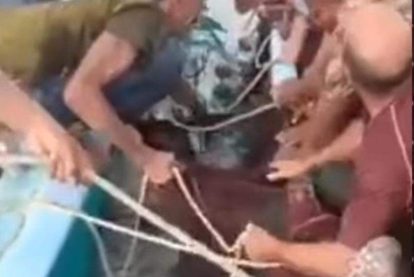 Homens segurando o tubarão, que foi morto