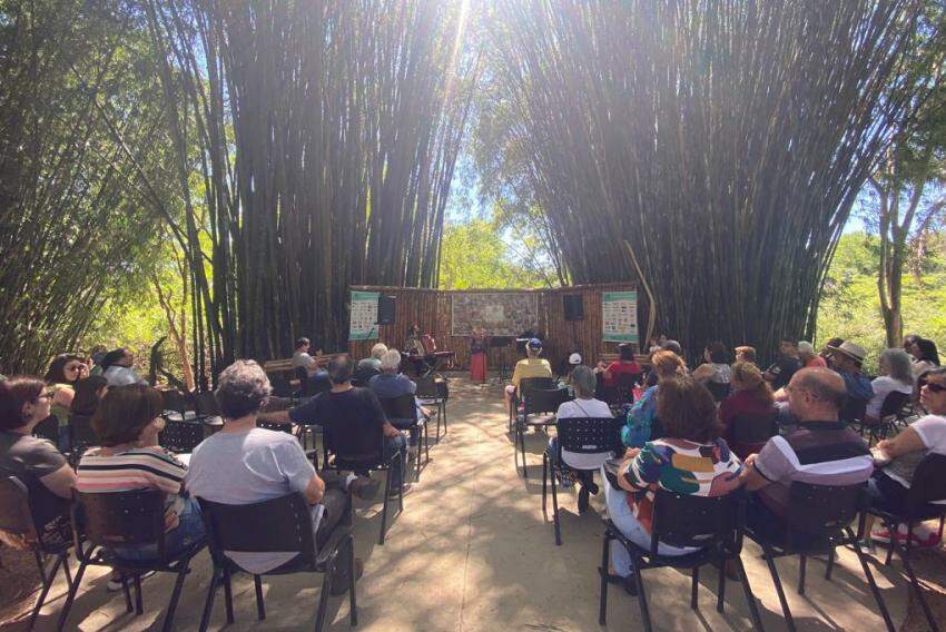 Aula de canto online em Bauru, SP