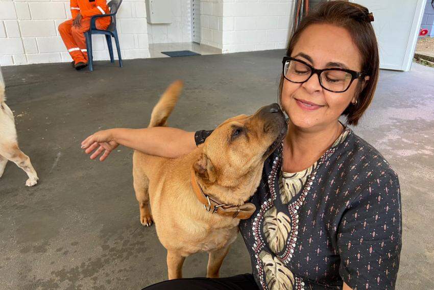 Veterinária diz que cães resgatados em situação de abandono estão  desnutridos e doentes: 'Revoltante', Sorocaba e Jundiaí