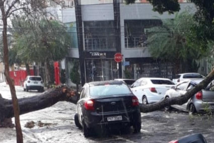 Rajadas de vento provocaram danos em várias regiões da Cidade